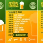 Un Nuevo “Festival Cervecero, Edición San Patricio” en el Parque Lineal Don Bosco