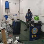 Cae vivero de marihuana en Avellaneda tras una investigación de la Justicia Federal de Quilmes