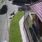 Lomas de Zamora: ciclista gravemente herido tras ser atropellado por un auto que escapó