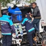 Violento accidente en Ruta 2: un camionero quedó atrapado tras chocar contra un árbol