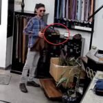 Se hizo pasar por vendedor y robó un par de zapatos en plena peatona santafesina
