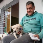 Nuevo operativo gratuito de castración y vacunación antirrábica en la Ribera de Bernal