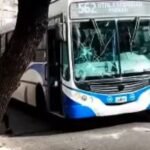 Violento ataque a un colectivero: le arrojaron piedras y destrozaron el parabrisas tras un conflicto por la SUBE