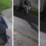 INTENTO DE ROBO EN BERNAL: DOS INDIVIDUOS INTENTARON ROBAR UN VEHÍCULO Y LUEGO INGRESAR A UNA VIVIENDA